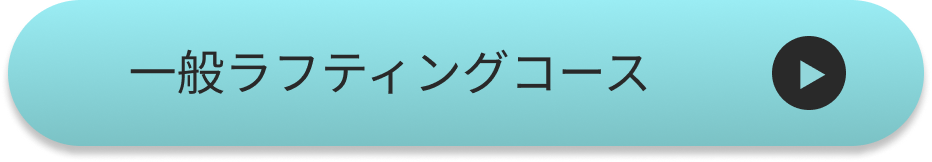 一般ラフティングコース