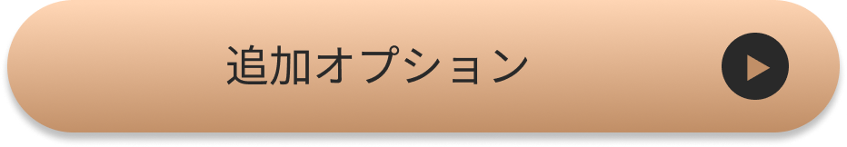 追加オプション